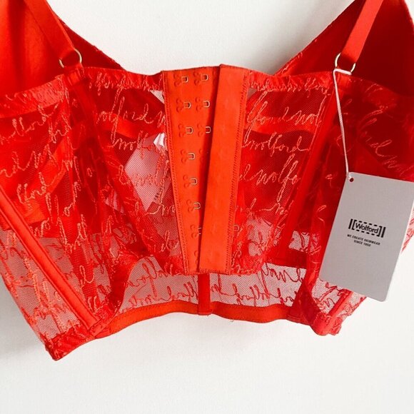 NWT Wolford Spellout Logo Obsessed Bustier Red Lace 38C - Picture 5 of 7